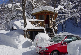 雪の中でもＯＫ